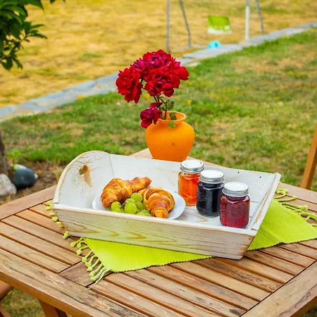 дедовата къща *